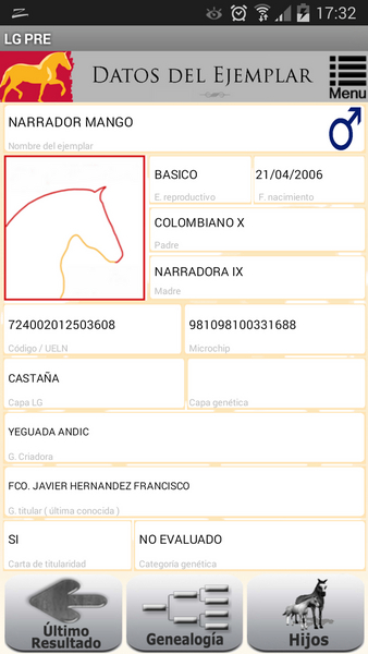 Caballo de pura raza española - Caballos Pura Raza Española (P.R.E.) Pura Raza Española