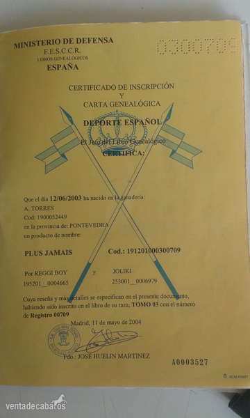 Yegua de salto in 