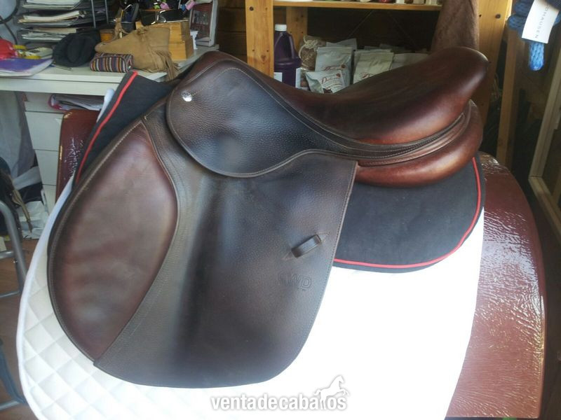 Vendo montura salto CWD  in 