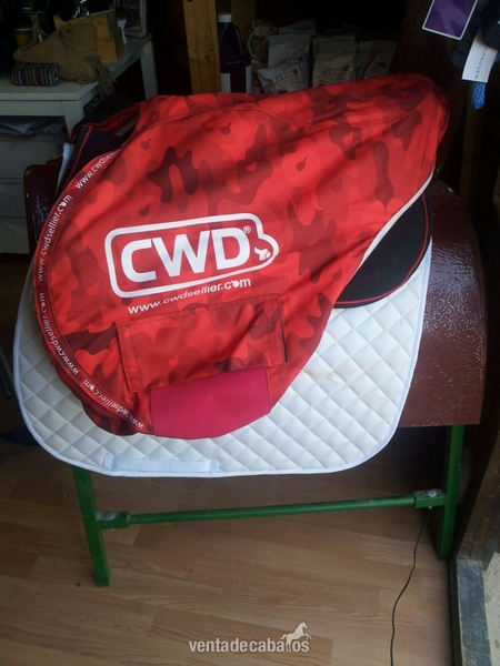  Vendo montura salto CWD 