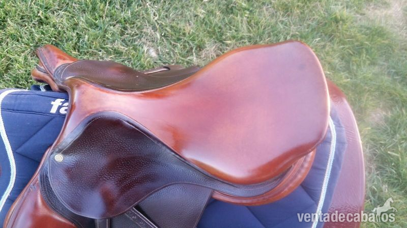  Vendo montura Bruno Delgrange 17