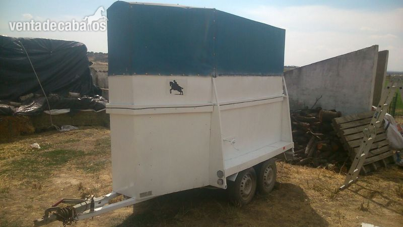 van de caballos in 