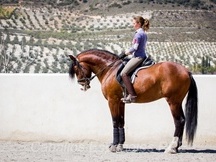 Caballo hijo de Gnidium
