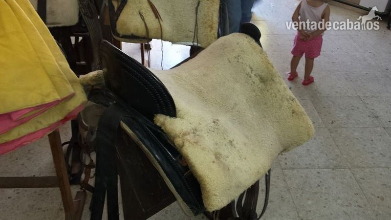 VENDO MONTURA VAQUERA in 