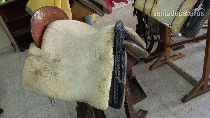 VENDO MONTURA VAQUERA