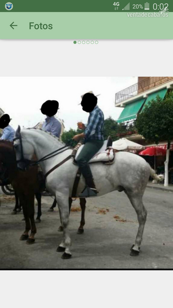 Jaca de confianza para cualquiera in 