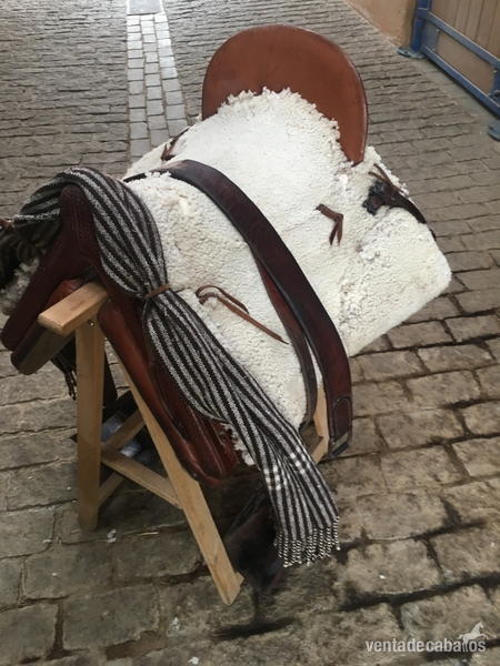 Silla vaquera española in 