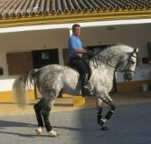 Pura Raza Española