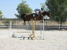 Oldemburgo en venta