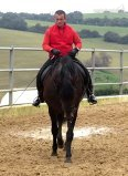 CABALLO ESCALERA HIJO DE SELECTO - Pura Raza Española