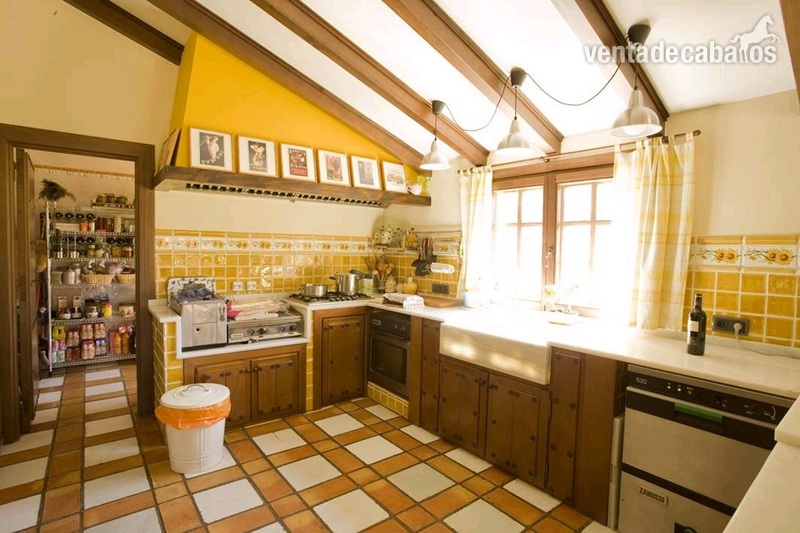 Finca de 4 Ha con vivienda y cuadras a menos de 100km de Madrid in Santa María del Tiétar