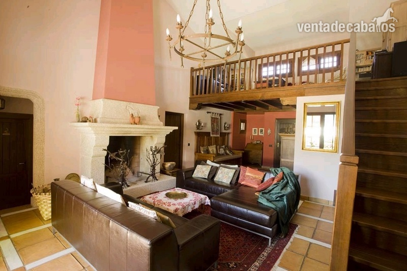 Finca de 4 Ha con vivienda y cuadras a menos de 100km de Madrid