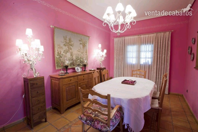 Santa María del Tiétar Finca de 4 Ha con vivienda y cuadras a menos de 100km de Madrid