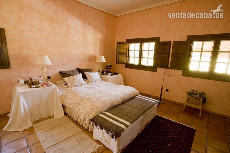 Finca de 4 Ha con vivienda y cuadras a menos de 100km de Madrid - Finca ecuestre in Santa María del Tiétar