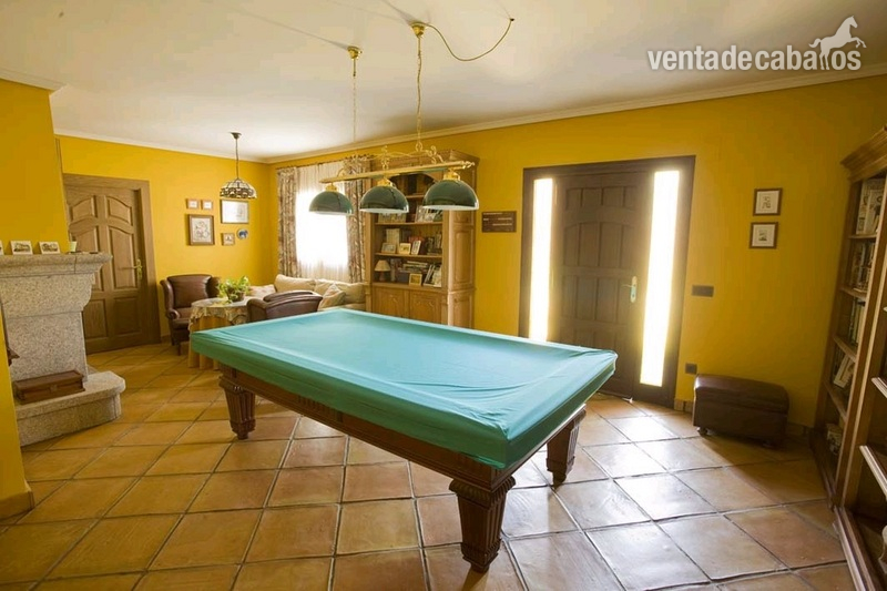 Finca de 4 Ha con vivienda y cuadras a menos de 100km de Madrid - Finca ecuestre