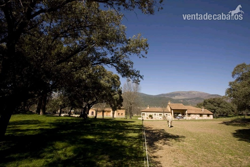 Finca ecuestre - Finca de 4 Ha con vivienda y cuadras a menos de 100km de Madrid