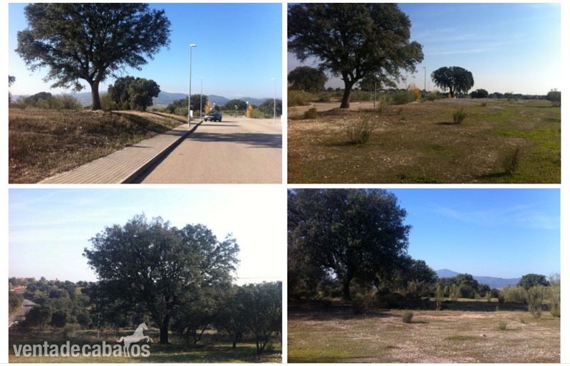 Escalona Se vende finca de 2,25 has. dentro del Campo de Golf (18 hoyos) de Escalona (Toledo) a 60 km. de Madrid-Capital. Ideal para actividad hípica compatible con gran vivienda unifamiliar o para la construcción de aphartotel con bungalow (26 unidades aprox.).