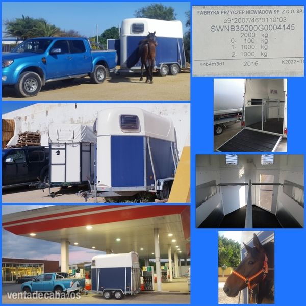 VENDO REMOLQUE PARA 2 CABALLOS in 