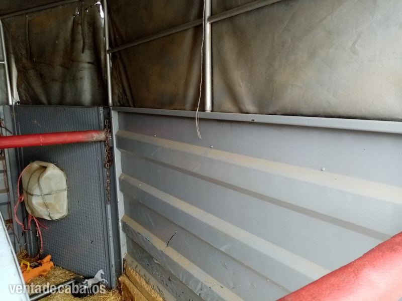 Remolques de caballos - Vendo van de 2 plazas in 