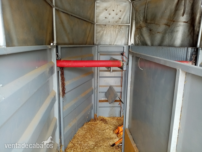 Remolques de caballos - Vendo van de 2 plazas