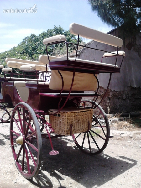 GRAN BREAK - Carruajes y Enganches in 