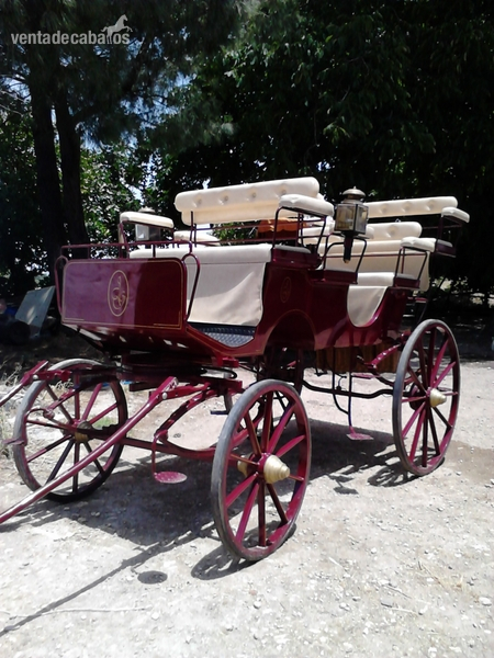 GRAN BREAK - Carruajes y Enganches