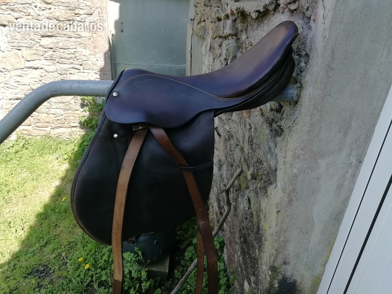 Montura caballo 