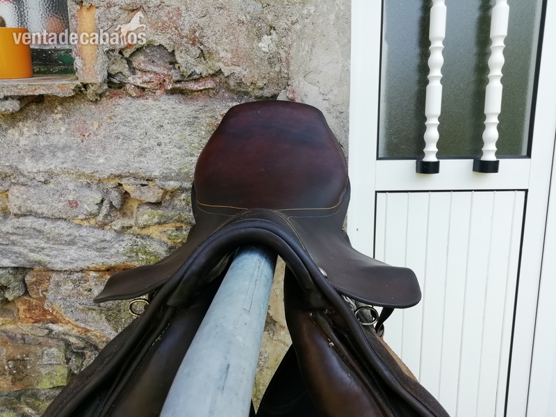  Montura caballo 
