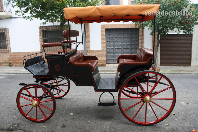 Doble Faeton vis a vis - Carruajes y Enganches