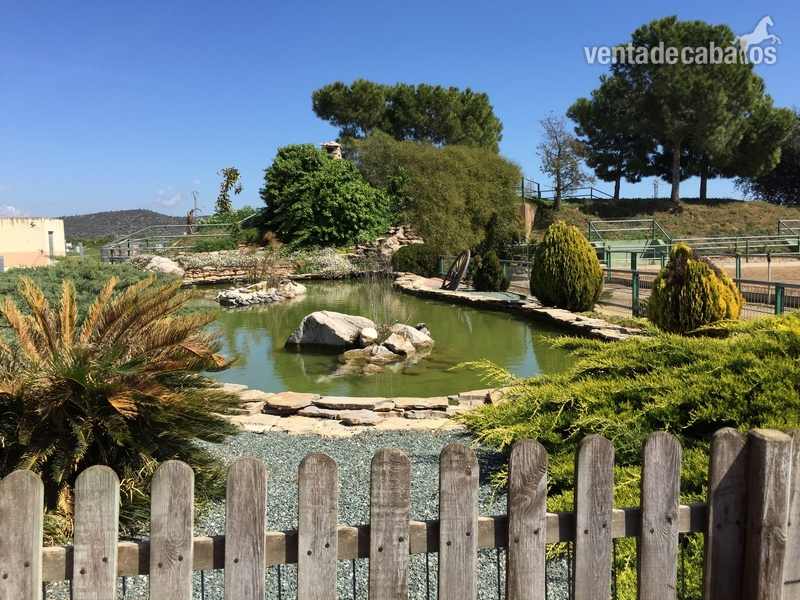 SE VENDE FINCA ECUESTRE