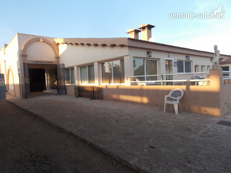 VINAROS SE VENDE FINCA ECUESTRE