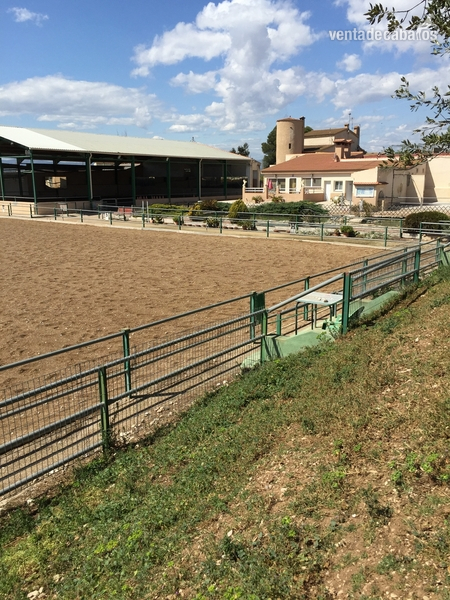 SE VENDE FINCA ECUESTRE VINAROS