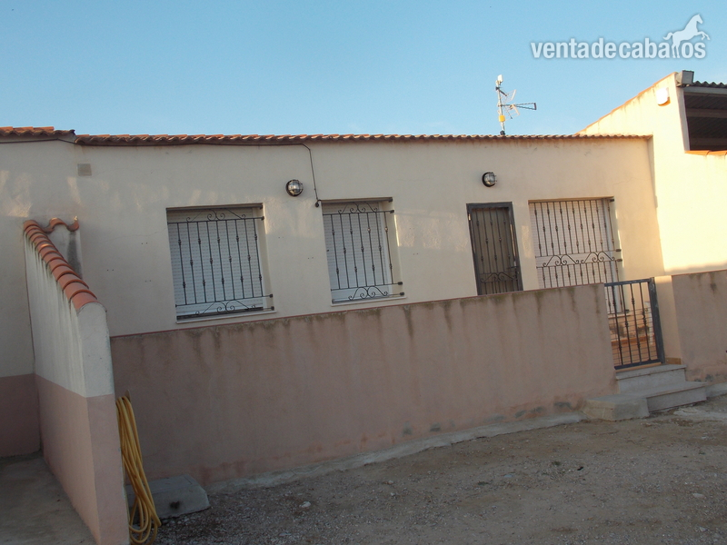 Finca ecuestre - SE VENDE FINCA ECUESTRE in VINAROS