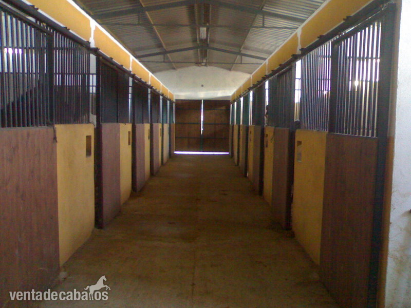 venta de hipica in coria