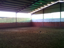 venta de hipica