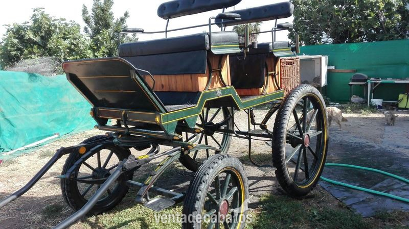 coche de caballos rocieros in 
