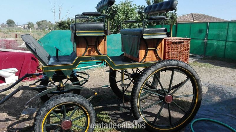 coche de caballos rocieros