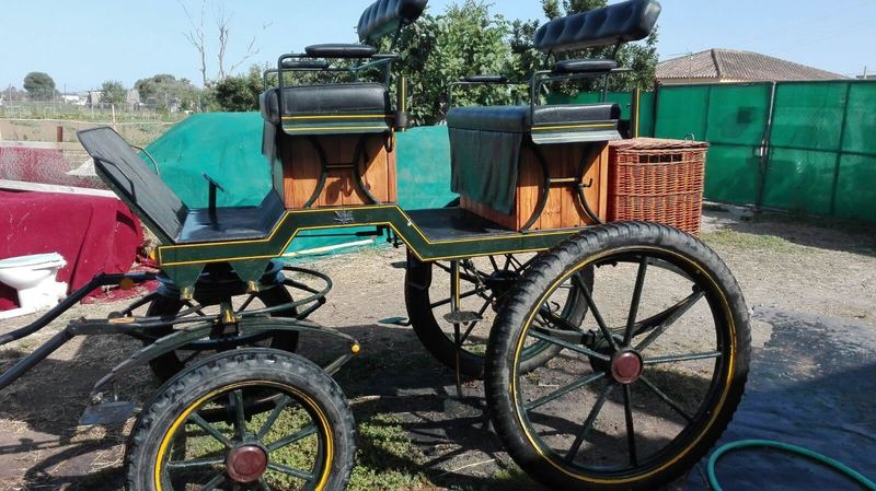 coche de caballos rocieros