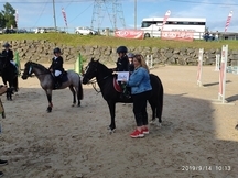 Pony B hembra
