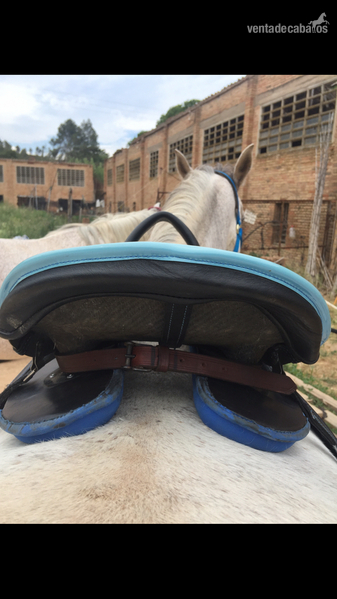 Silla Zaldi Arze