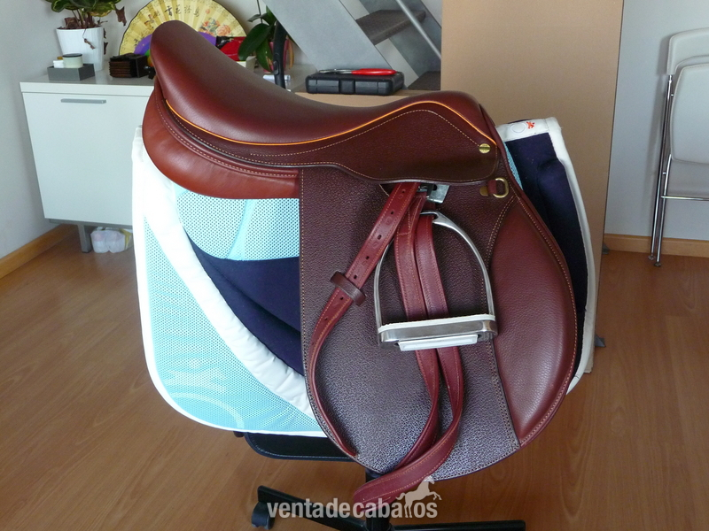  SILLA MIXTA HENRI DE RIVEL 2011 + ACCESORIOS 