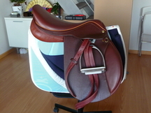 SILLA MIXTA HENRI DE RIVEL 2011 + ACCESORIOS 