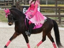 Pony b en venta,con unos movimientos espectaculares