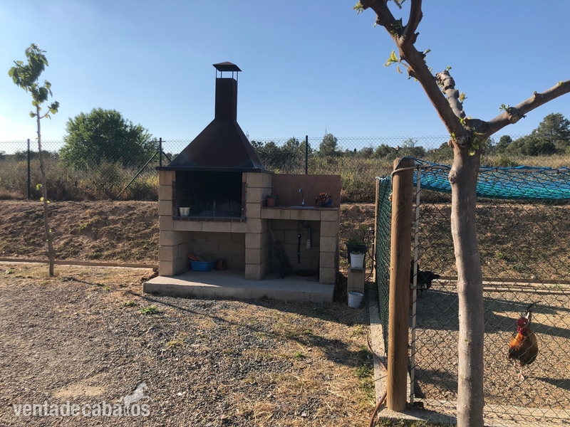 Finca totalmente equipada en zona de Tarragona - Finca ecuestre in tarragona
