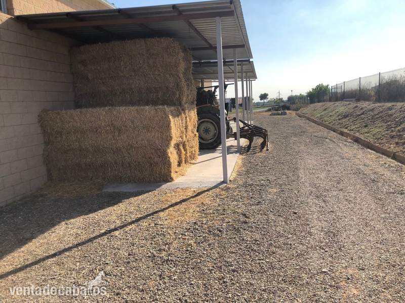 Finca totalmente equipada en zona de Tarragona - Finca ecuestre