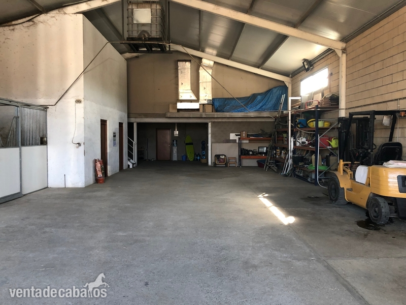 Finca ecuestre - Finca totalmente equipada en zona de Tarragona in tarragona