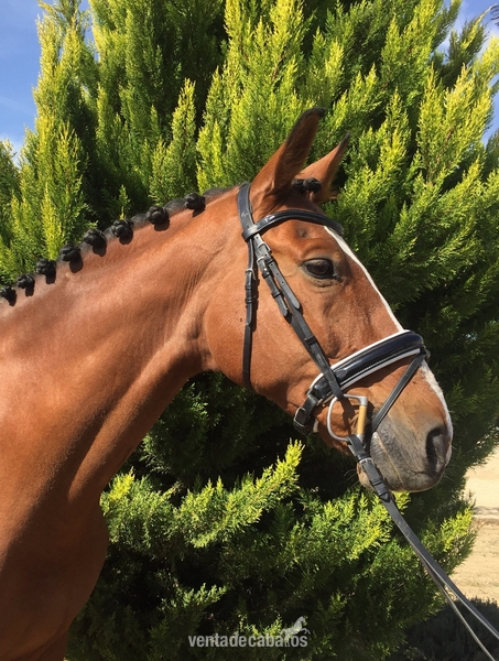 EN VENTA/FOR SALE in 
