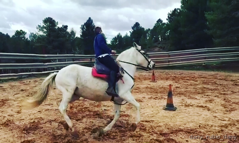 Cruzado {TYPE}