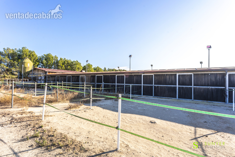 Centro hípica en Vilanova d'Escornalbou in Vilanova d'Escornalbou