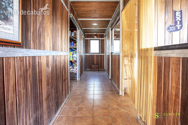 Finca ecuestre - Centro hípica en Vilanova d'Escornalbou in Vilanova d'Escornalbou